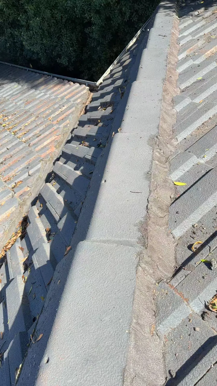 Tiled roof valley in Mill Park with leaves, loose debris and weathered mortar along the adjoining ridge