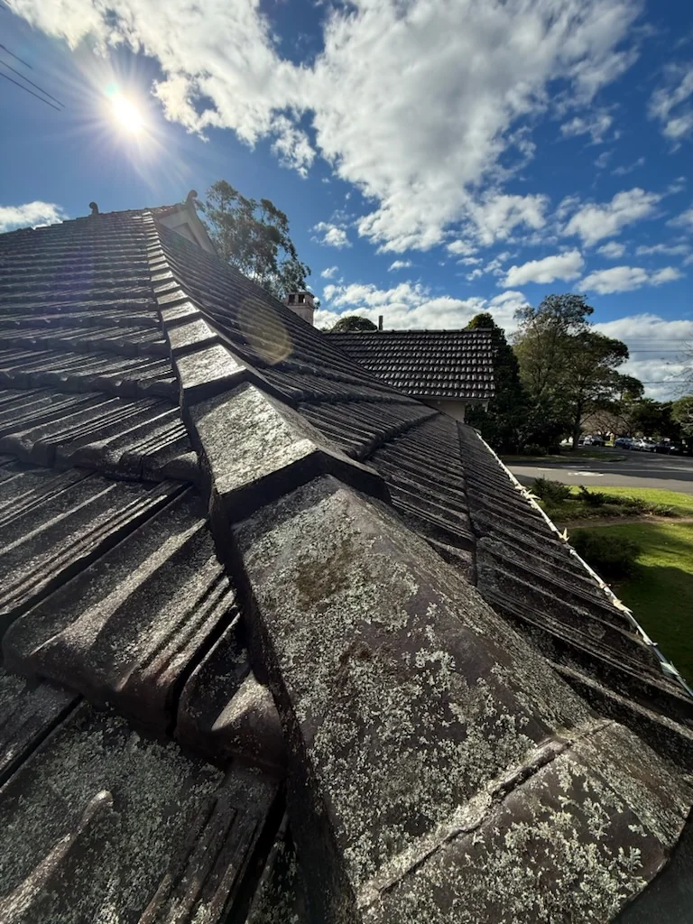 Original roof-level photo showing lichen and weathering on dark concrete roof tiles and ridge caps