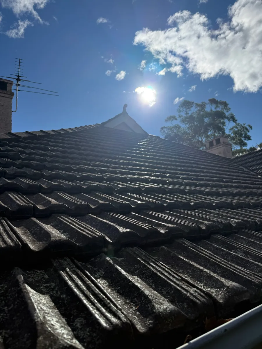 Second original roof-level view showing the concrete tile field, ridge line and weathered surface condition